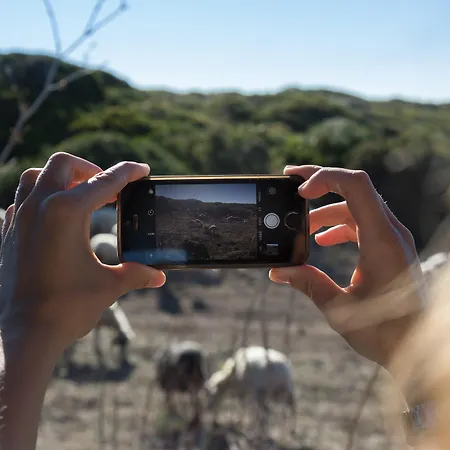 Maison Hotel Tresnuraghes