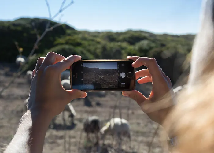 Maison Hotel Tresnuraghes