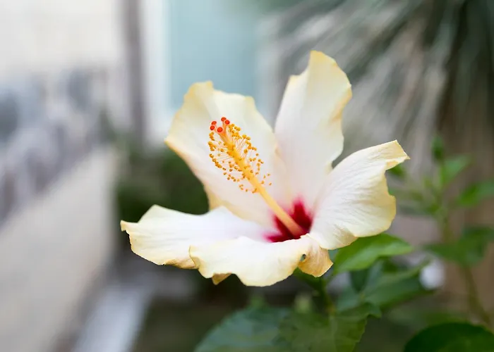 Maison 3* Tresnuraghes